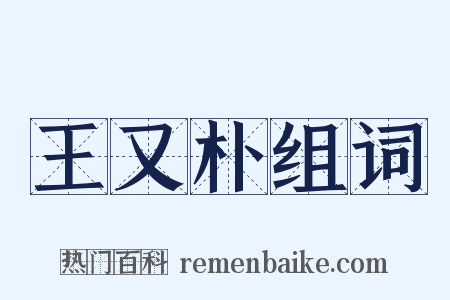 王又朴组词是什么意思的图片